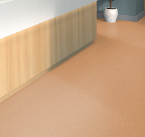 Tarkett iq Melodia 2643 фото 2 | FLOORDEALER